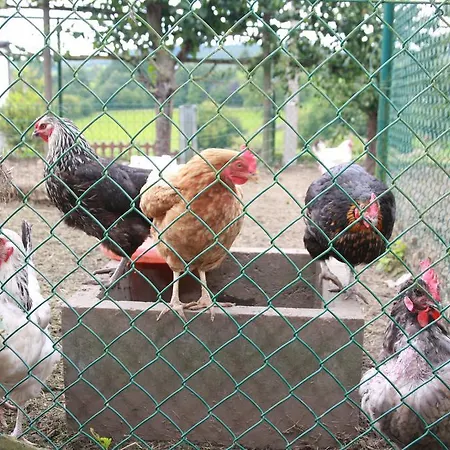 Casa de Férias La Ferme Au Coin 1-2-3